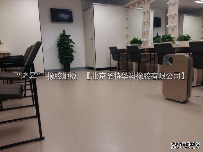 北京市天橋演藝劇場橡膠地板工程案例