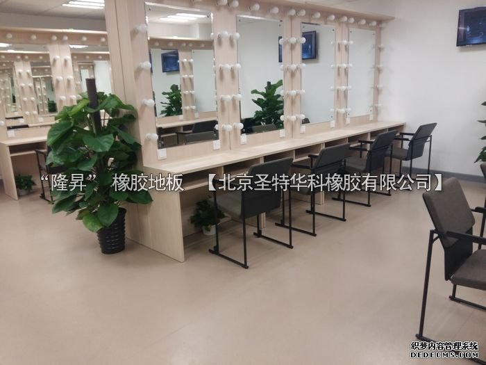 北京市天橋演藝劇場橡膠地板工程案例