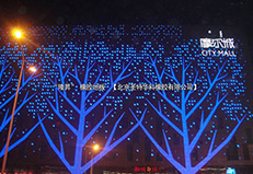 內蒙呼和浩特維多利亞摩爾城冰場橡膠地板工程